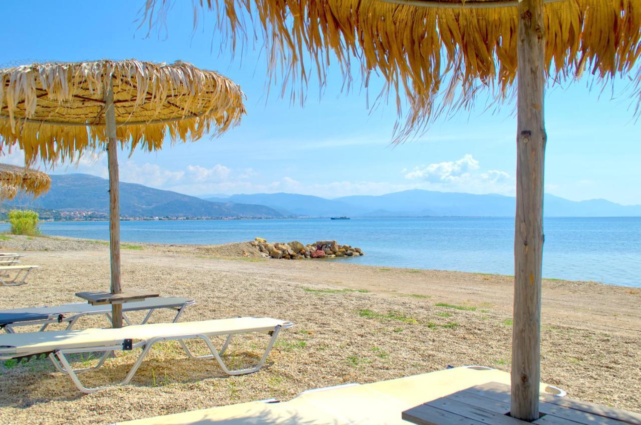 Epipleon Luxury Suites -106- Δωμάτιο 40Τμ Με Βεράντα 45Τμ Μπροστά Στην Θάλασσα نافبكْتوس المظهر الخارجي الصورة